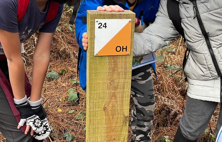 Image of Orienteering at Cannock Chase