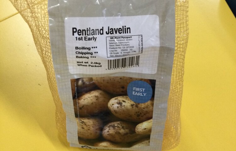 Image of Growing Potatoes