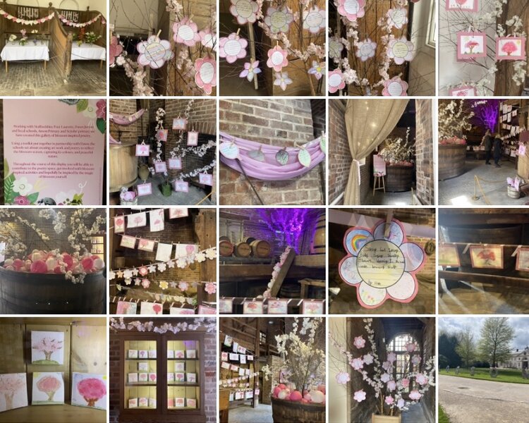 Image of Blossom Project at Shugborough Hall