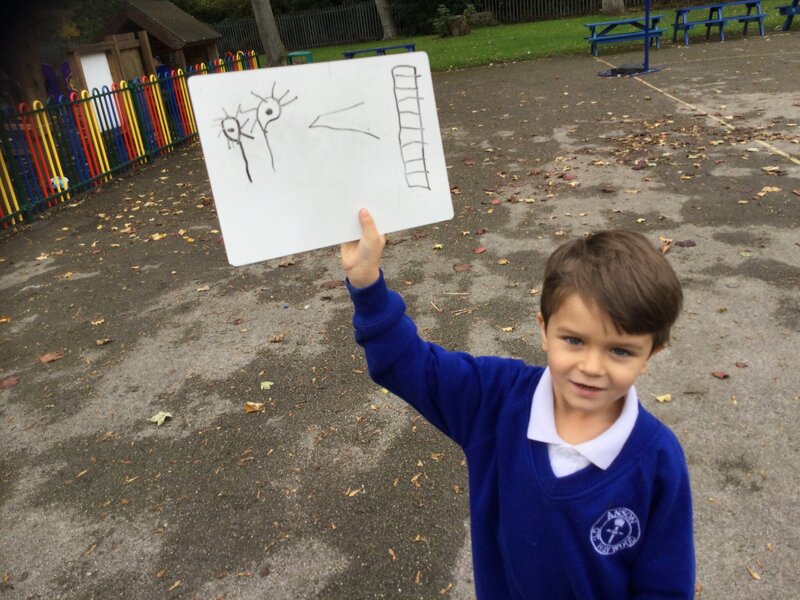Image of Outdoor Maths, ordering and comparing numbers 