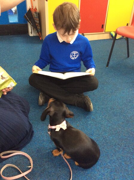Image of Reading to Saffy Dog 