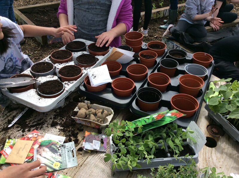 Image of Planting Afternoon 