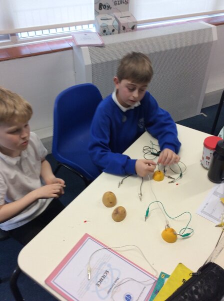 Image of Class 4 - fruit and vegetable circuits