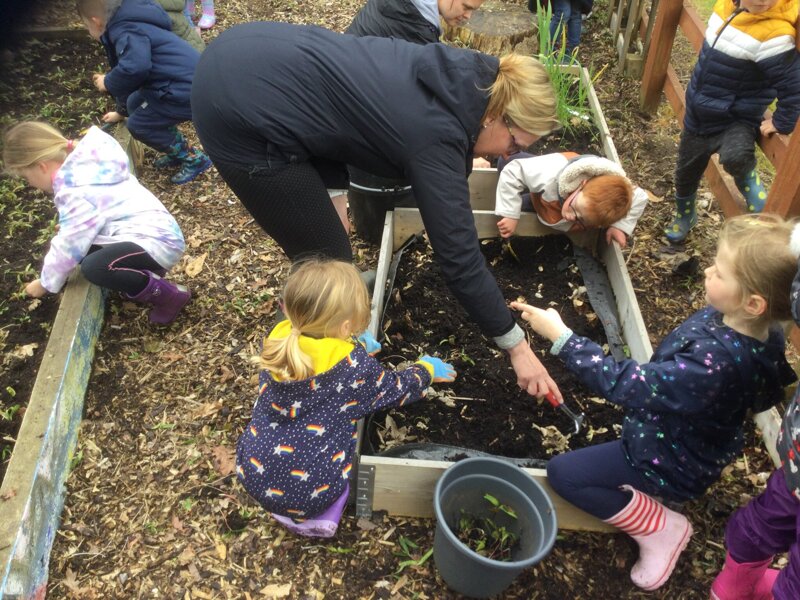 Image of Gardening afternoon with Class 2