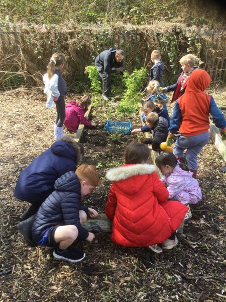 Image of Gardening afternoon with Class 1