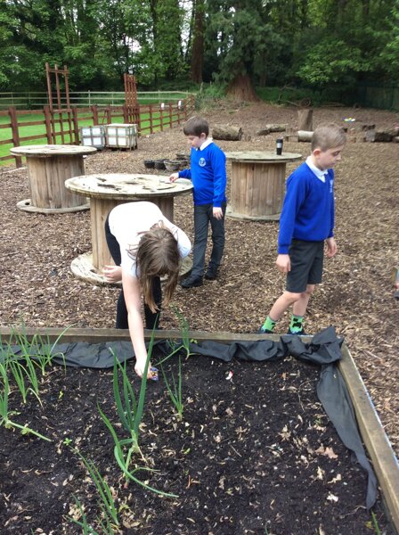 Image of Exploring the outdoor classroom 