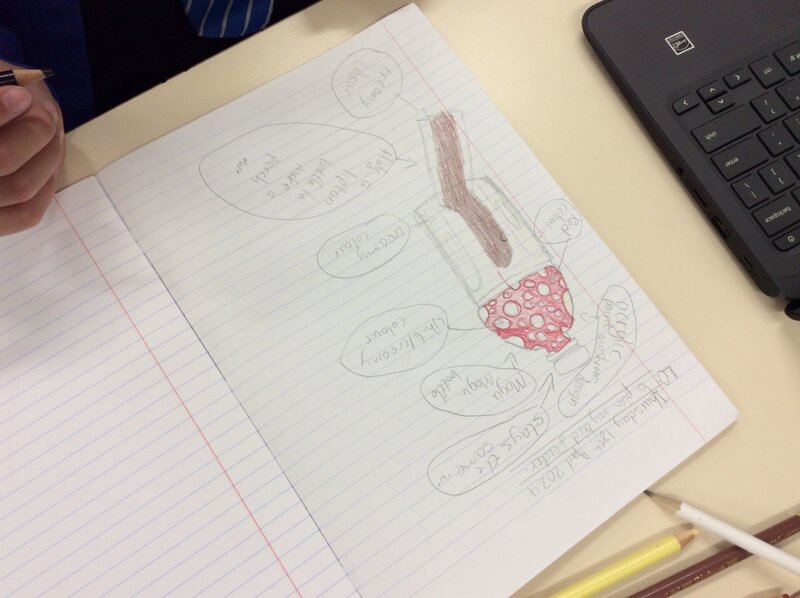 Image of Planning & Designing our Bird Feeders 