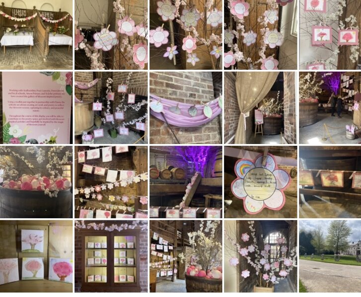 Image of Blossom Project at Shugborough Hall